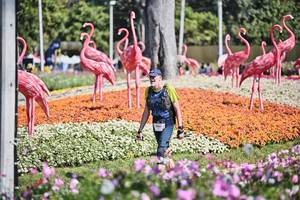 BIB: 
                            <button type="button" onclick="openModal(27793836)" class="btn btn-primary btn-sm float-right btn-popup" data-toggle="modal" data-target=".modal-high-quality">
                        <i class="fas fa-shopping-cart"></i> Add to Cart
                    </button>
                                            <button type="button" onclick="isThisMe(27793836, true)" class="btn btn-success btn-sm float-right btn-popup btn-isme hidden" data-toggle="tooltip" data-placement="bottom" title="นี่คือรูปของคุณใช่ไหม คลิกที่นี่เพื่อเอาเข้าอัลบั้ม">
                        <i class="fas fa-plus"></i> Add to album
                    </button>
                    <button type="button" onclick="isThisMe(27793836, false)" class="btn btn-warning btn-sm float-right btn-popup btn-isnotme hidden">
                        <i class="fas fa-ban"></i> Remove from album
                    </button>